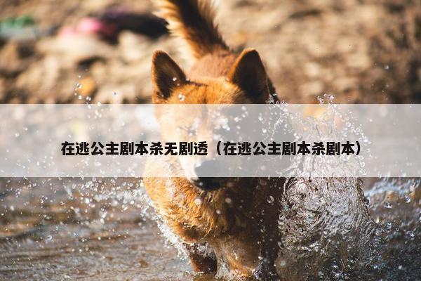 在逃公主剧本杀无剧透（在逃公主剧本杀剧本）