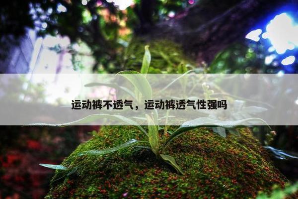 运动裤不透气，运动裤透气性强吗