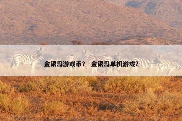金银岛游戏币？ 金银岛单机游戏？