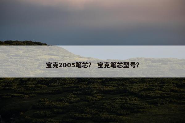 宝克2005笔芯？ 宝克笔芯型号？