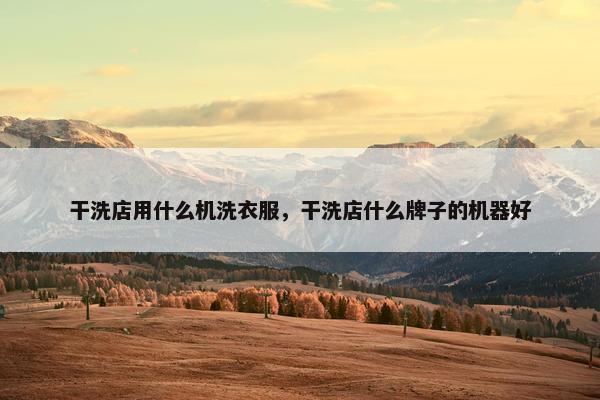 干洗店用什么机洗衣服，干洗店什么牌子的机器好