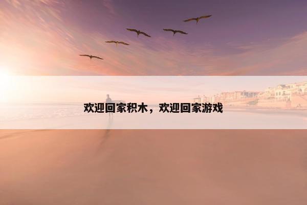 欢迎回家积木，欢迎回家游戏