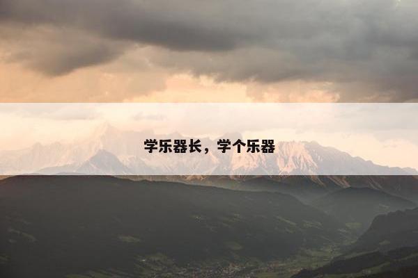 学乐器长，学个乐器