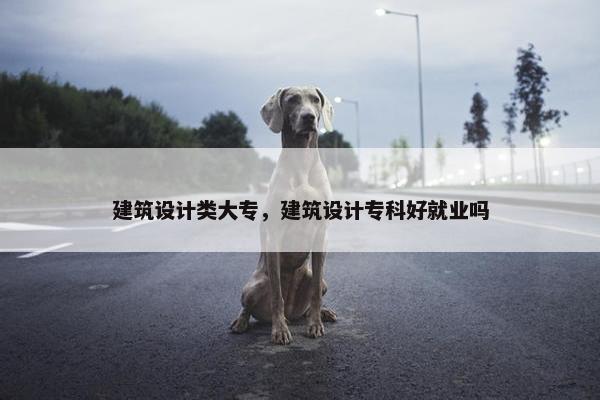 建筑设计类大专，建筑设计专科好就业吗