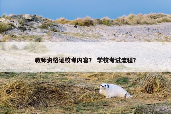 教师资格证校考内容？ 学校考试流程？