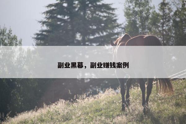 副业黑幕，副业赚钱案例