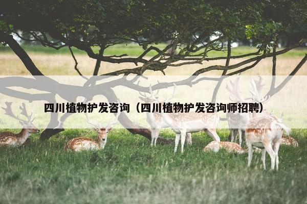 四川植物护发咨询（四川植物护发咨询师招聘）