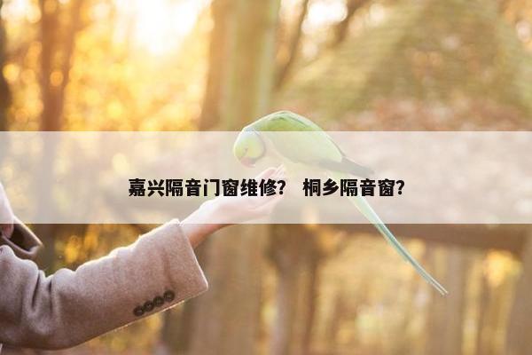 嘉兴隔音门窗维修？ 桐乡隔音窗？