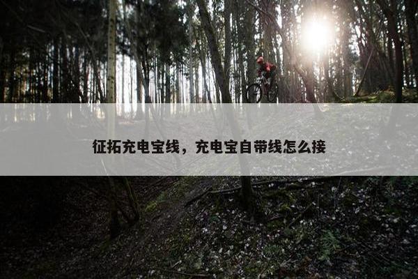 征拓充电宝线，充电宝自带线怎么接