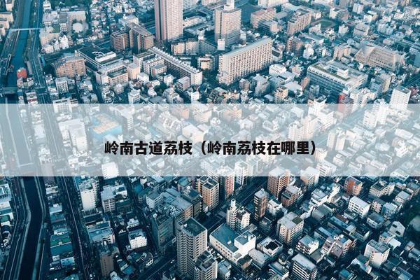 岭南古道荔枝（岭南荔枝在哪里）