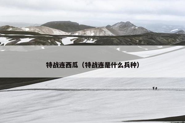 特战连西瓜（特战连是什么兵种）