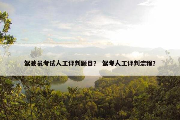 驾驶员考试人工评判题目？ 驾考人工评判流程？
