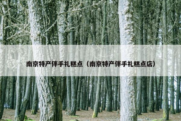 南京特产伴手礼糕点（南京特产伴手礼糕点店）