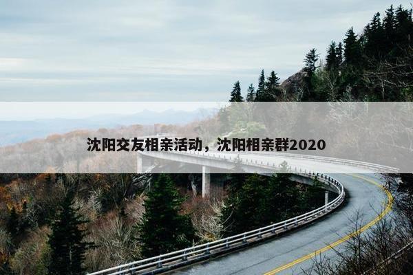 沈阳交友相亲活动，沈阳相亲群2020