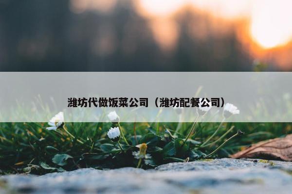 潍坊代做饭菜公司（潍坊配餐公司）