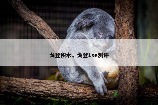 戈登积木，戈登1se测评