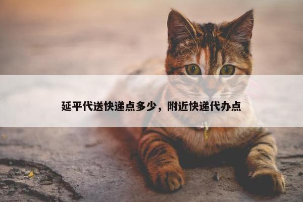延平代送快递点多少，附近快递代办点
