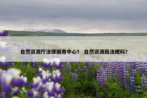 自然资源厅法律服务中心？ 自然资源局法规科？