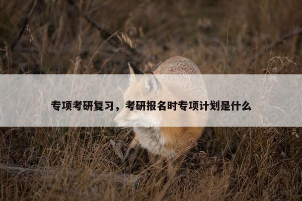 专项考研复习，考研报名时专项计划是什么