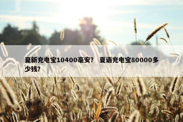 夏新充电宝10400毫安？ 夏语充电宝80000多少钱？
