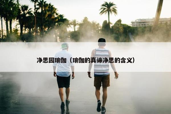 净思园瑜伽（瑜伽的真谛净思的含义）