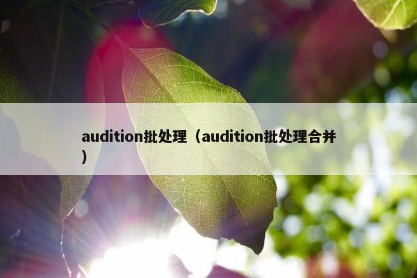 audition批处理（audition批处理合并）