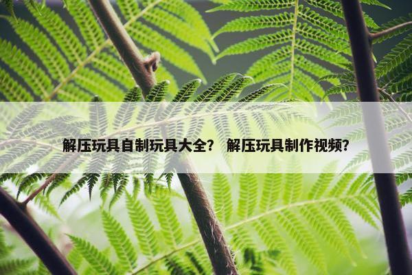 解压玩具自制玩具大全？ 解压玩具制作视频？