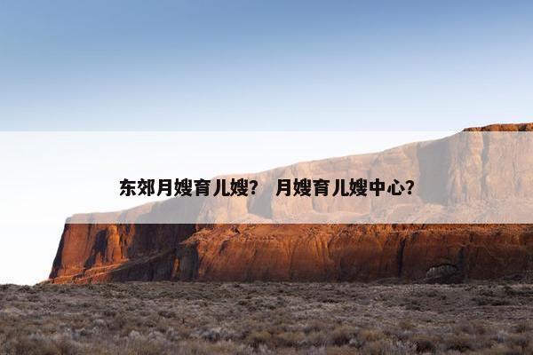 东郊月嫂育儿嫂？ 月嫂育儿嫂中心？
