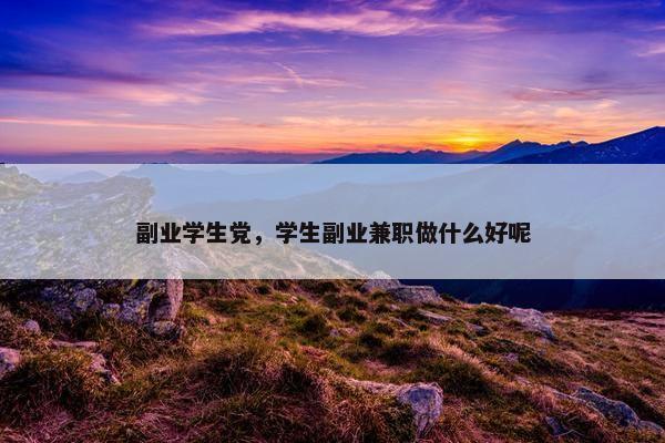 副业学生党，学生副业兼职做什么好呢