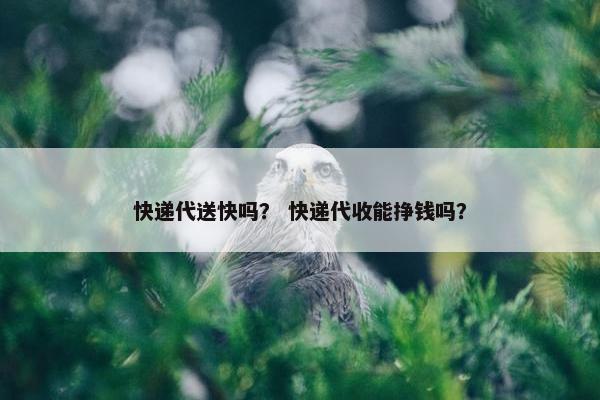 快递代送快吗？ 快递代收能挣钱吗？
