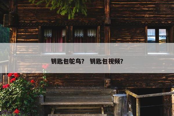 钥匙包鸵鸟？ 钥匙包视频？