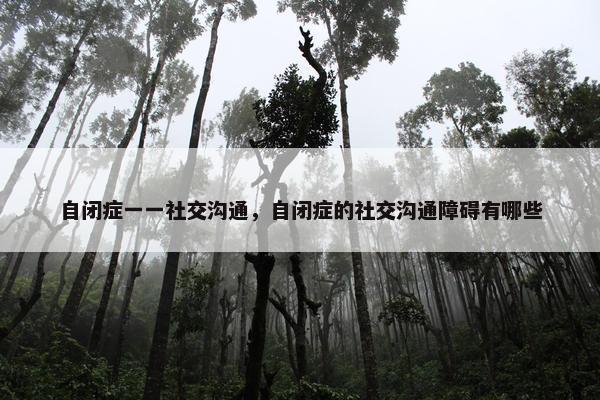 自闭症一一社交沟通，自闭症的社交沟通障碍有哪些