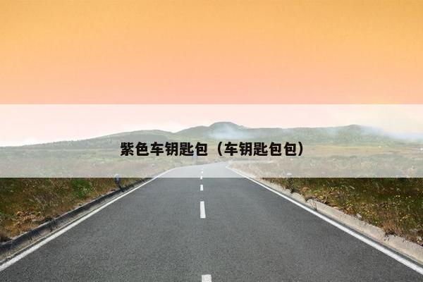 紫色车钥匙包（车钥匙包包）