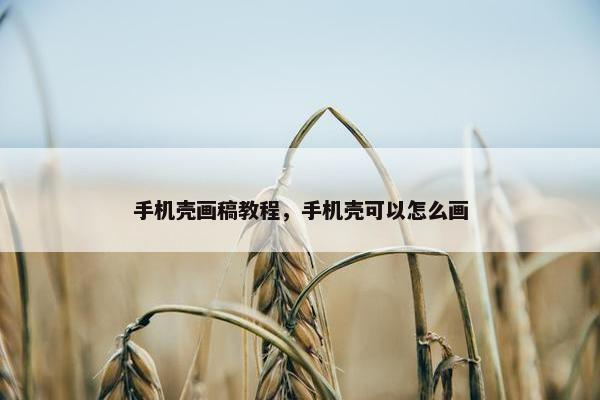 手机壳画稿教程，手机壳可以怎么画