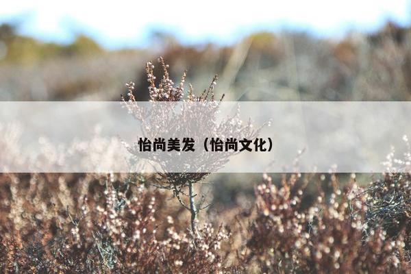 怡尚美发（怡尚文化）
