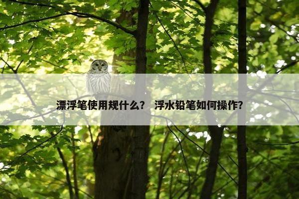 漂浮笔使用规什么？ 浮水铅笔如何操作？