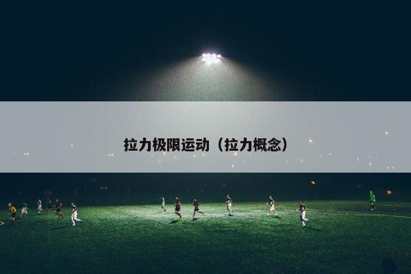拉力极限运动（拉力概念）