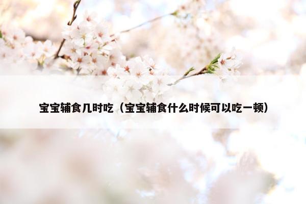 宝宝辅食几时吃（宝宝辅食什么时候可以吃一顿）