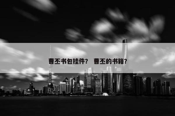 曹丕书包挂件？ 曹丕的书籍？