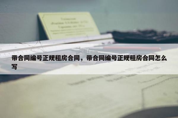 带合同编号正规租房合同，带合同编号正规租房合同怎么写
