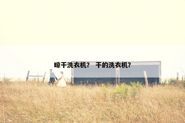晾干洗衣机？ 干的洗衣机？
