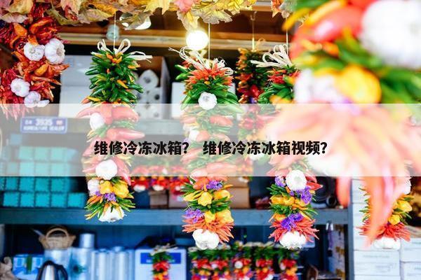 维修冷冻冰箱？ 维修冷冻冰箱视频？