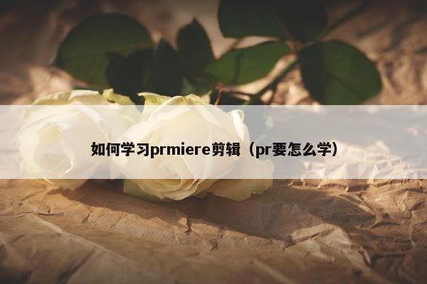 如何学习prmiere剪辑（pr要怎么学）