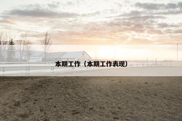 本期工作（本期工作表现）