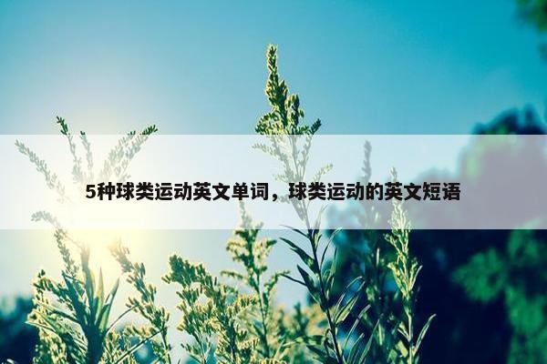 5种球类运动英文单词，球类运动的英文短语