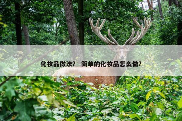 化妆品做法？ 简单的化妆品怎么做？
