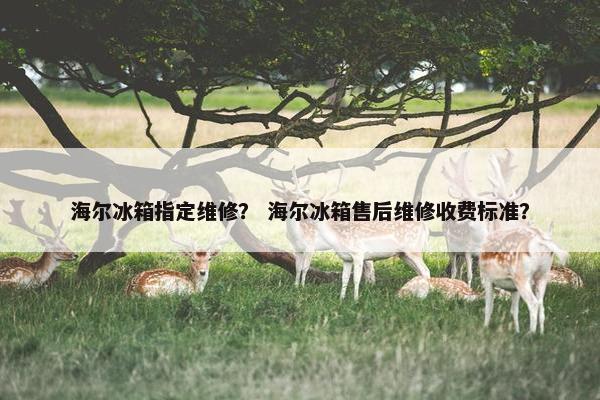 海尔冰箱指定维修？ 海尔冰箱售后维修收费标准？