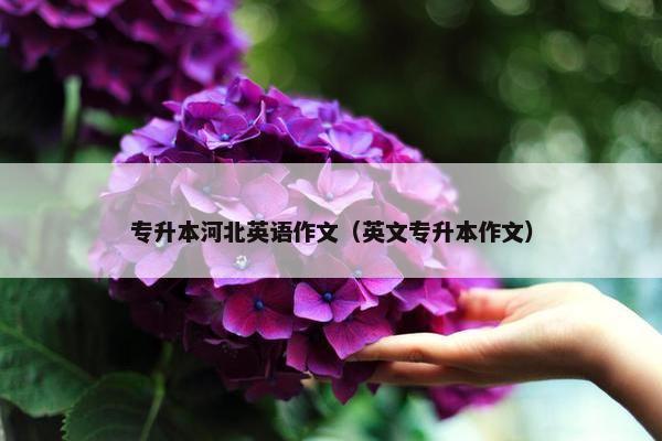 专升本河北英语作文（英文专升本作文）