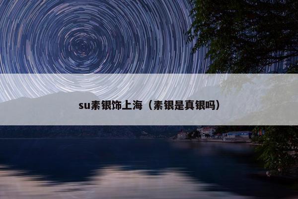 su素银饰上海（素银是真银吗）
