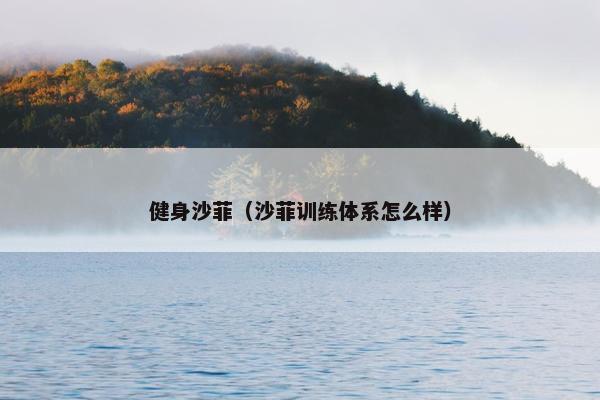 健身沙菲（沙菲训练体系怎么样）
